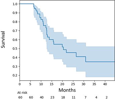 Outcomes of Hypofractionated Stereotactic Radiotherapy for Small and Moderate-Sized Brain Metastases: A Single-Institution Analysis